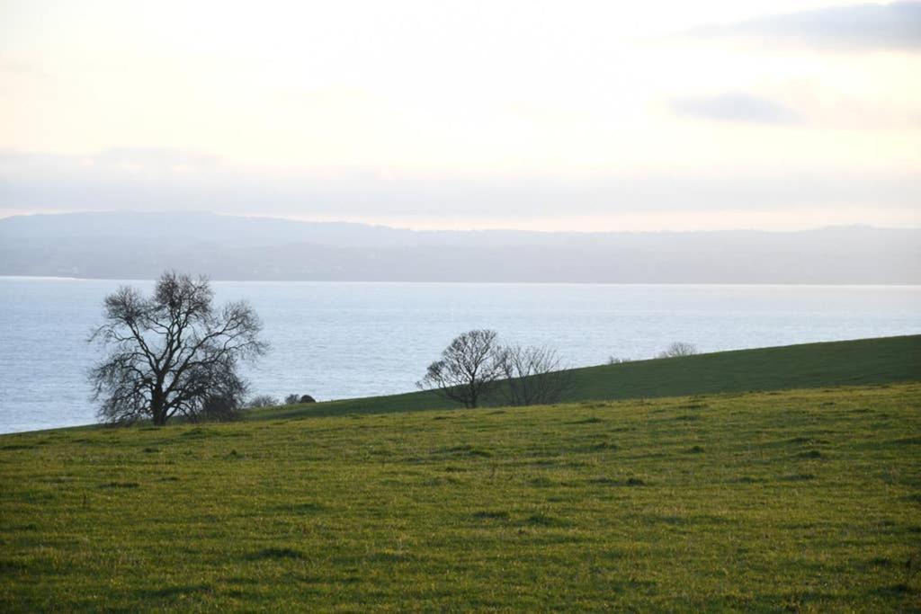 Whitehead Holiday Cottage Екстер'єр фото
